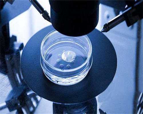 爱嘉国际捐卵_aa69公司怎样,试管移植时候多少钱一次-试管移植大概要多少钱