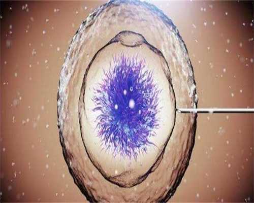 合肥第二代试管供卵医院报名费用是多少？附详细价目表！