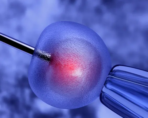 日本代生试管婴儿成功率高的原因是什么？费用明细公布！