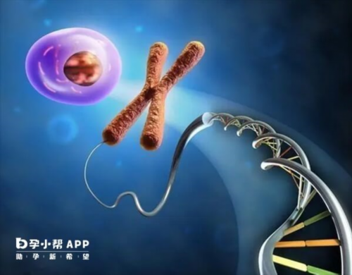 从上海去美国做代生能挣多少钱价格明细指南(上海赴美代生能挣多少钱服务)