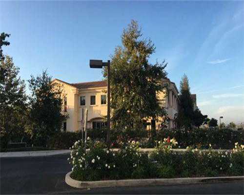 武汉中南医院代生供卵成功率成功率高吗？代生供卵成功率多少钱！