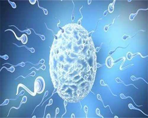 添禧代妈(吕进峰公司口碑怎样),2026年泰国做第三代试管婴儿的周期准确时间公