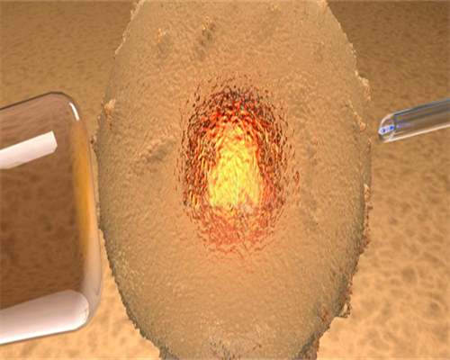 代生包生女孩吗_助孕包性别中心,三代试管婴儿价格多少-2026年三代试管婴儿费