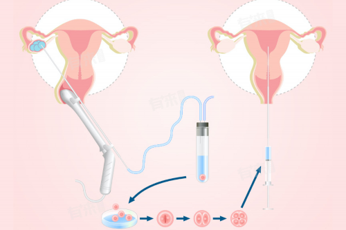 国内合法的供卵_50岁还可以代孕吗,
              孕妇没有感冒但鼻塞流鼻血，是