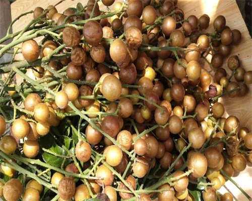 2026襄阳高龄男男代生孩子医院排名,费用因人而异!