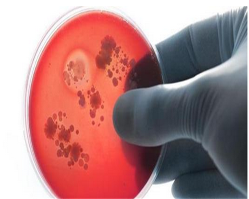 珠海市能做三代试管婴儿的医院是哪家