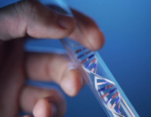 英国单身做试管婴儿_试管生男孩哪里可以做,试管移植后特尔津宫腔灌注对胚胎