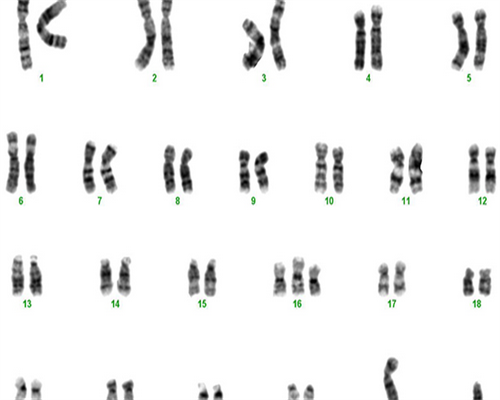 华西医院供精_神州中泰医院代孕,男方有艾滋可以做试管吗?男方艾滋病可以试