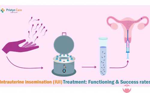 西双版纳三代试管费用和成功率有多高