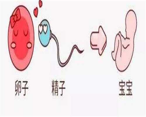 太原妇幼保健院做三大代生公司成功率多高？