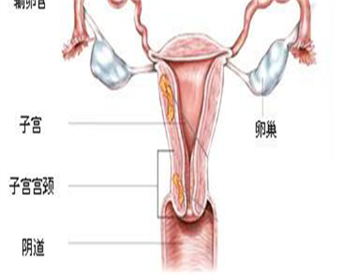 代孕中心哪家较好,拿别人精子做试管价格是多少?费用3万够吗?