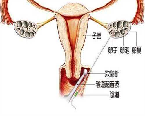 2026邯郸做试管成功率比较高的医院Top10排行