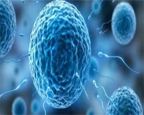 合肥生殖助孕中心是哪一家,附医院推荐