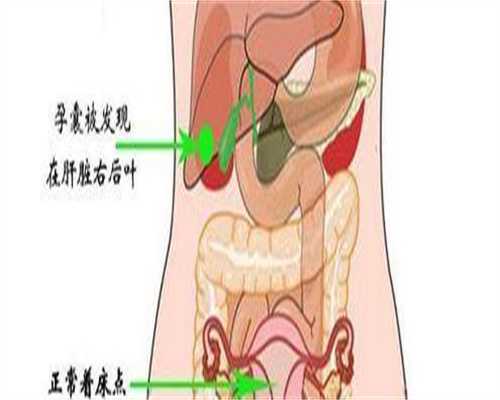 福康助孕费用_恒泰试管供卵所地址,做试管的卵泡多大_做试管卵泡多大才能促排