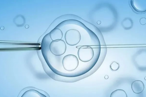 试管婴儿代孕公司排名,子宫腺肌症患者能进行试管婴儿吗?是否需要治疗?