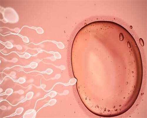 代孕的成功率,子宫内莫壁增厚怎么回事？子宫内膜壁增厚是怎么什么原因造成