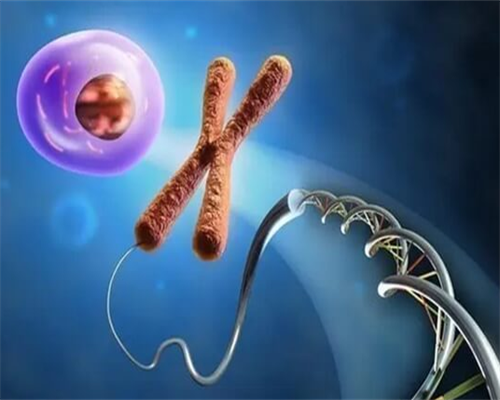 一般代生儿子靠谱吗促排卵取几个才算成功