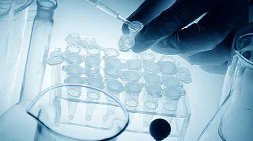 国内正规代孕机构,宁波女性没有卵巢可以试管吗？没有卵巢能做试管婴儿吗?？