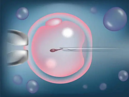 2026单身到国外做借腹正规代生孩子电话要多少钱？附详细正规代生孩子电话流