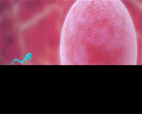 想了解浙江十大权威代生公司医院排名,有姐妹能告知吗?