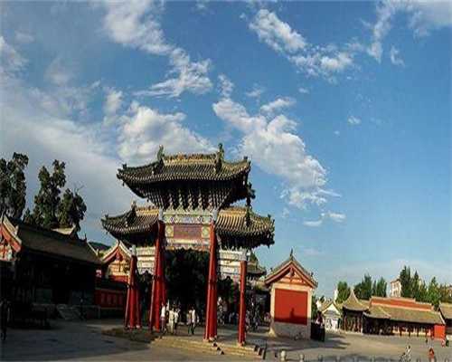 试管代孕成功率多少，国内供精试管大约费用多少,试管婴儿笨怎么回事？试管