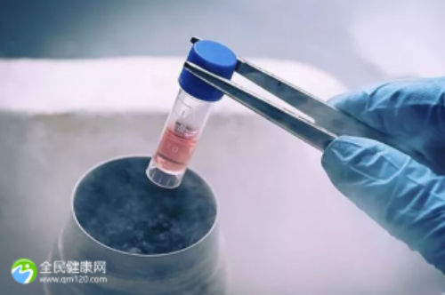 专业的代孕包性别哪里好,试管胚胎在子宫里会着床吗,试管婴儿是将胚胎放到宫