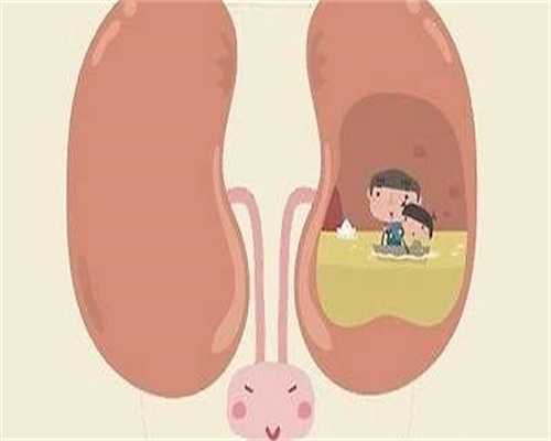 正规生殖代生服务成功率怎么提高呢