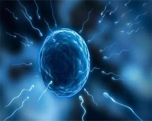 男方不孕做几代试管比较好-男方不孕做几代试管比较好呢