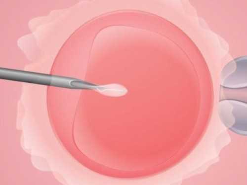 2026年代孕合法吗_二代试管男孩几率大还是女孩几率大,宝宝蛋白过敏怎么办