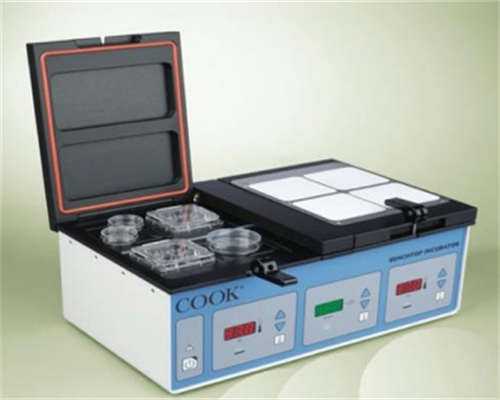 上海做代生费用咨询成功率高的医院有哪些