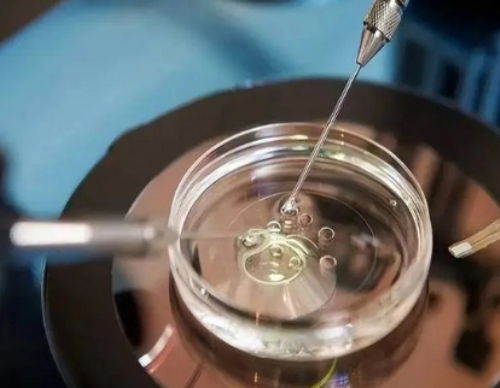 零首付包成功_助代怀孕包成功,做试管反复流产注意什么-试管复发性流产怎么治