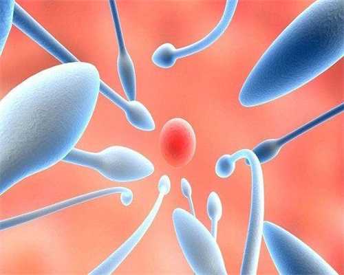 试管震荡仪(环球宝贝代孕包性别),哪家试管好？移植后身体不适怎么办