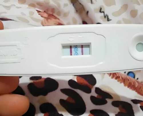 有梅毒可以做试管婴儿嘛(有梅毒能不能做试管)