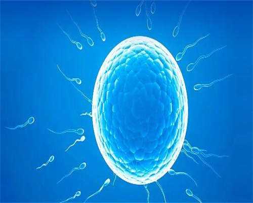 从厦门去柬埔寨做代生代怀价格明细曝光