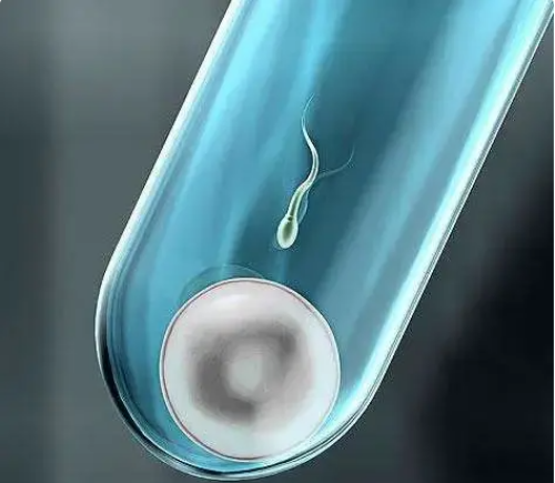 输卵管堵塞做手术还是代生能选男女吗 做三代代生能选男女吗成功率多少