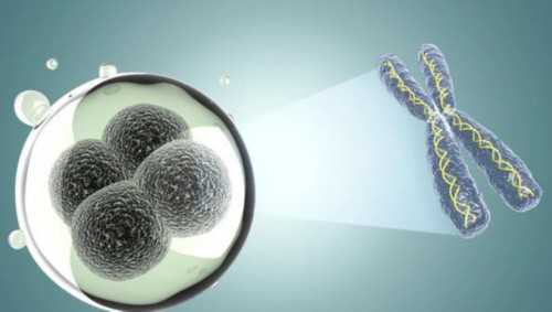 吉林试管婴儿选多少钱?附试管助孕过程!