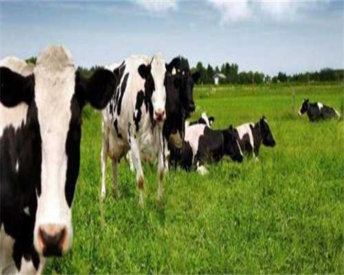 代孕最靠谱公司,
一打黄体酮内膜就下降变薄还能移植囊胚吗?