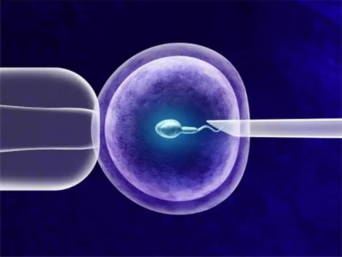 日本三代试管供卵套餐基因筛选费用(日本试管供卵套餐成功率)