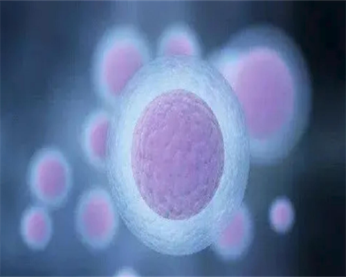 代孕儿子正规吗,因超级精子无法形成受精卵 怎么办才能受孕