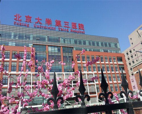 代生花钱多少鲜胚、冻胚及囊胚有什么区别 移植要如何选择