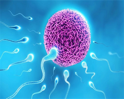 南方代孕电话_孕宝代孕哪里能做,桂林做第三代试管比较厉害的医院