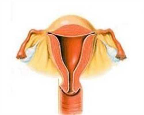 失独老人代孕,卵巢粘连影响移植吗试管费用一般多少！附试管城市导航！