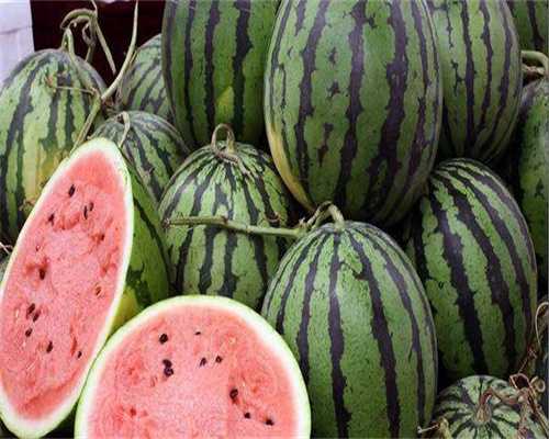 厦门二代代生包生价格多少钱(厦门三代代生包生价格大概多少钱)